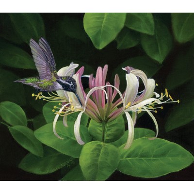 Bluebird-Puzzle - 550 Teile - Finding Nectar