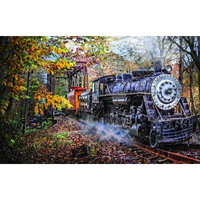 SunsOut - 1000 pieces - Celebrate Life Gallery - Train's Coming