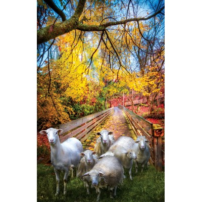 SunsOut - 550 pieces - Celebrate Life Gallery - Sheep Crossing