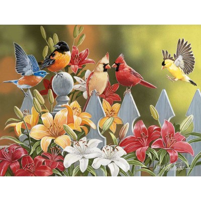 SunsOut - 300 pieces - XXL Pieces - William Vanderdasson - Birds on a Fence