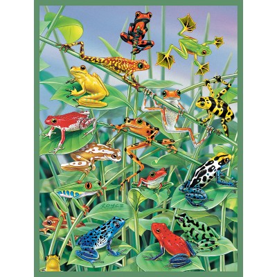 Bluebird-Puzzle - 500 Teile - XXL Teile - Klettergerüst für Frösche