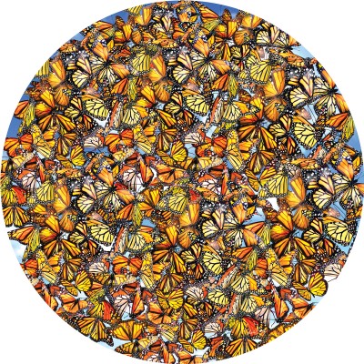 Bluebird-Puzzle - 1000 Teile - Lori Schory - Monarch Frenzy