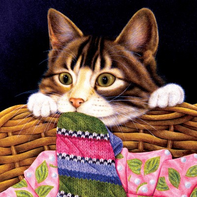 SunsOut - 1000 pieces - Anne Mortimer - Crazy about Socks