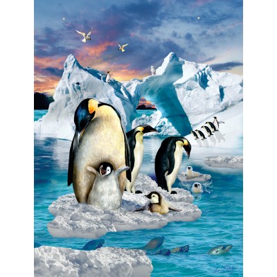 Bluebird-Puzzle - 500 Teile - XXL Teile - Penguin Colony