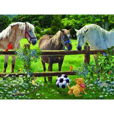 SunsOut - 1000 pieces - Joseph Burgess - Wanna Play