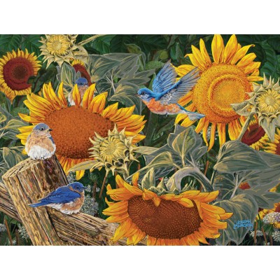 Bluebird-Puzzle - 300 Teile - XXL Teile - Sonnenblumenbeet