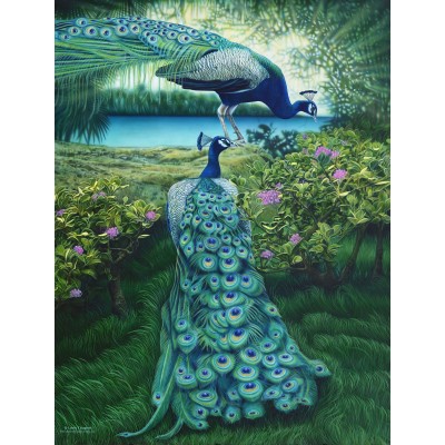 Sunsout - 500 pièces - Larry Taugher - A Pair of Peacocks