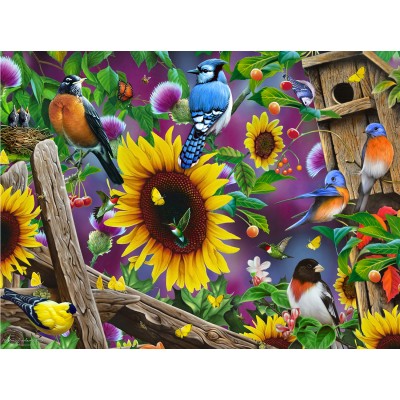 SunsOut - 500 pieces - Jerry Gadamus - Fenceline Birds