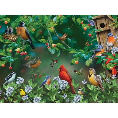 SunsOut - 1000 pieces - Jerry Gadamus - Bird Festival