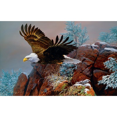 Bluebird-Puzzle - 1000 Teile - Christopher Walden - Wind Surfer
