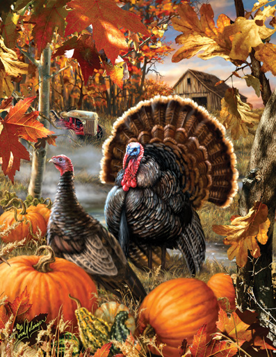 SunsOut - 1000 pieces - XXL Pieces - Dona Gelinger - Gobbler Farms