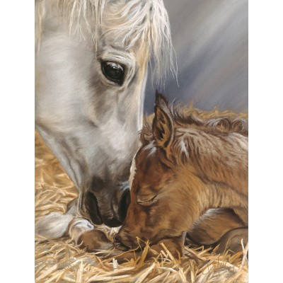 Bluebird-Puzzle - 500 Teile - XXL Teile - Geschenk der Natur