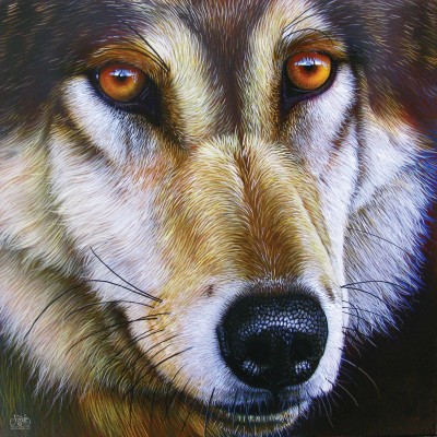 SunsOut - 1000 pieces - Jurek - Wolf Face