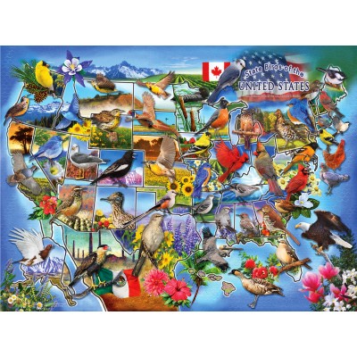 Bluebird-Puzzle - 1000 Teile - State Birds of the U.S.
