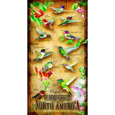 Bluebird-Puzzle - 500 Teile - XXL Teile - Hummingbirds of North of America