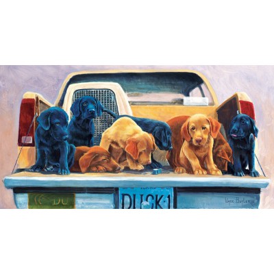 SunsOut - 500 pieces - Wade Butler : Tailgate Party