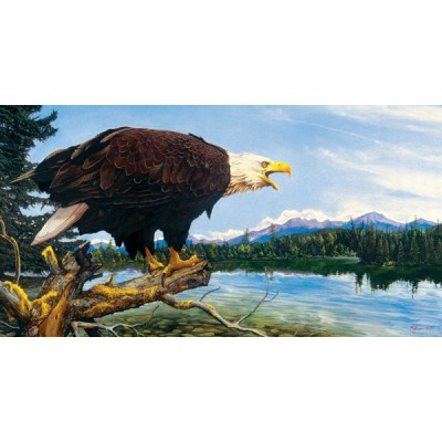 SunsOut - 500 pieces - Ervin Molnar : Eagle Point