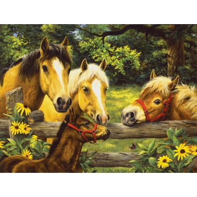 SunsOut - 500 pieces - Linda Picken : Friends, Neighbors & SunsFlowers