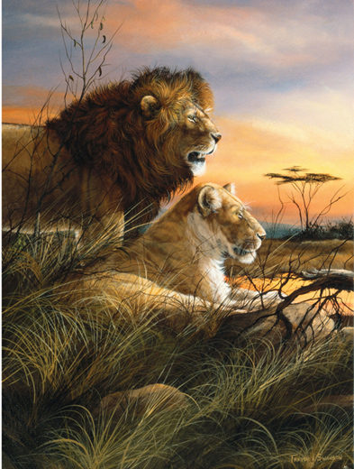 SunsOut - 500 pieces - Trevor Swanson : Lions au Point d'Eau