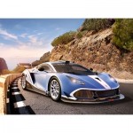 Puzzle  Castorland-030316 Arrinera Hussarya GT