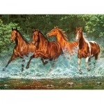 Puzzle  Castorland-030361 Cascade Run