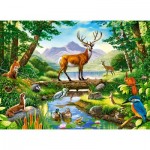 Puzzle  Castorland-030408 Woodland Harmony