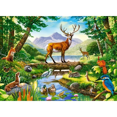Puzzle  Castorland-030408 Woodland Harmony