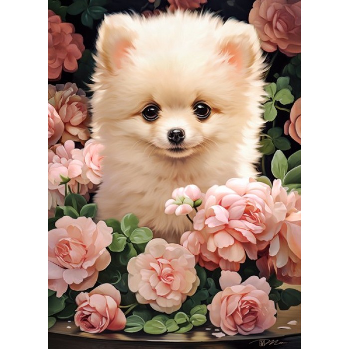 Puzzle Castorland-030552 Pomeranian Puppy in Roses