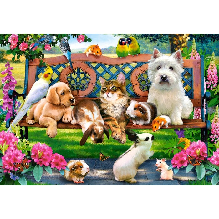 Puzzle Castorland-104406 Pets in the Park