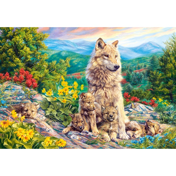 Puzzle Castorland-104420 New Generation