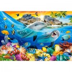 Puzzle  Castorland-104611 Dolphins in the Tropics