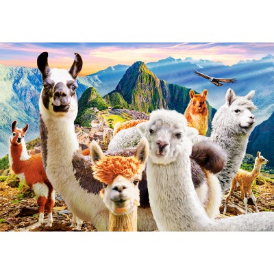 Puzzle  Castorland-104758 Llamas Selfie