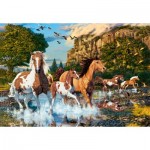 Puzzle  Castorland-104789 Horse Wonderland