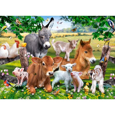 Puzzle  Castorland-111138 On the Farm