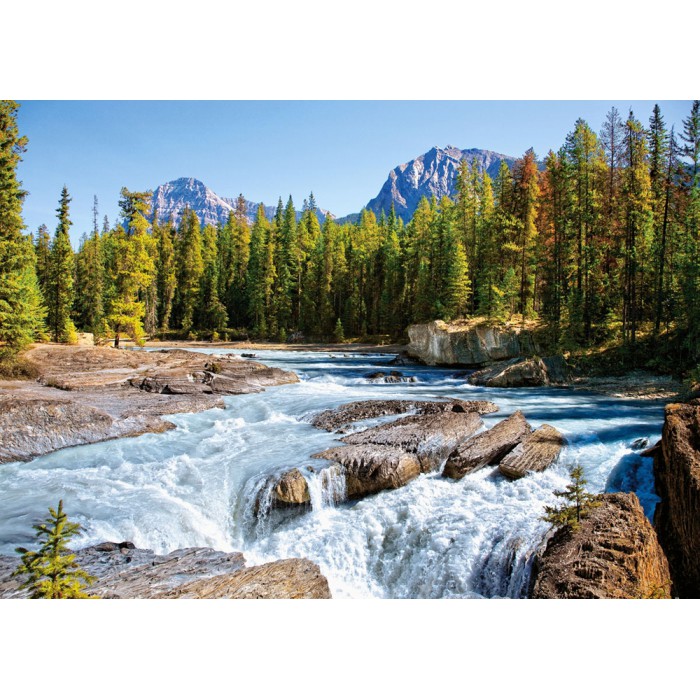 Castorland-150762 Jigsaw Puzzle - 1500 Pieces - Athabasca River, Jasper National Park, Canada