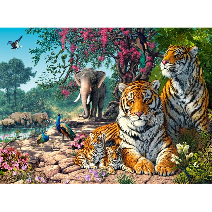 Puzzle Castorland-300600 Le Sanctuaire des Tigres