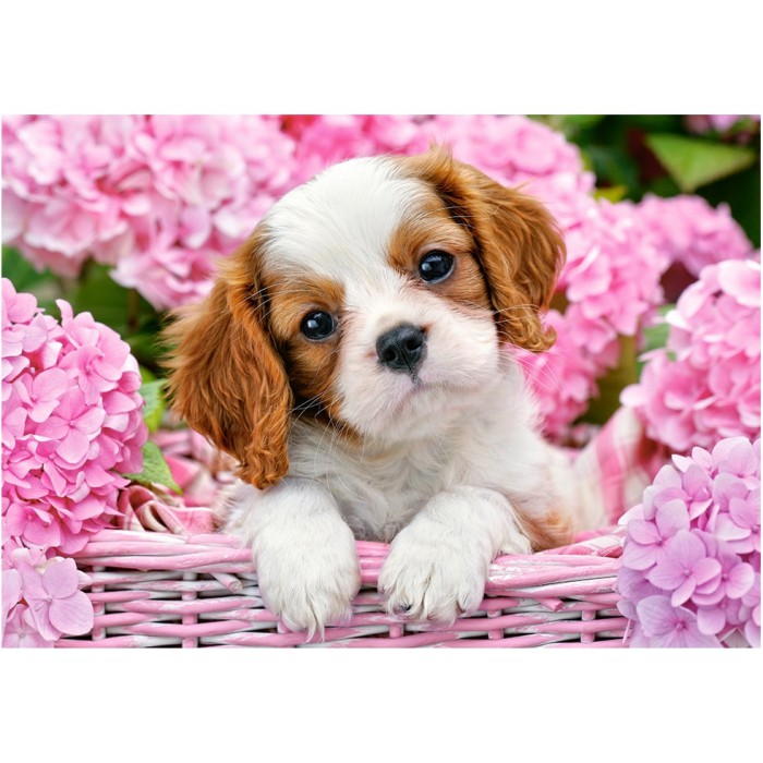 Puzzle Castorland-52233 Pup in Pink Flowers