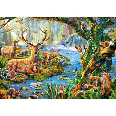 Puzzle  Castorland-52929 Forest Life