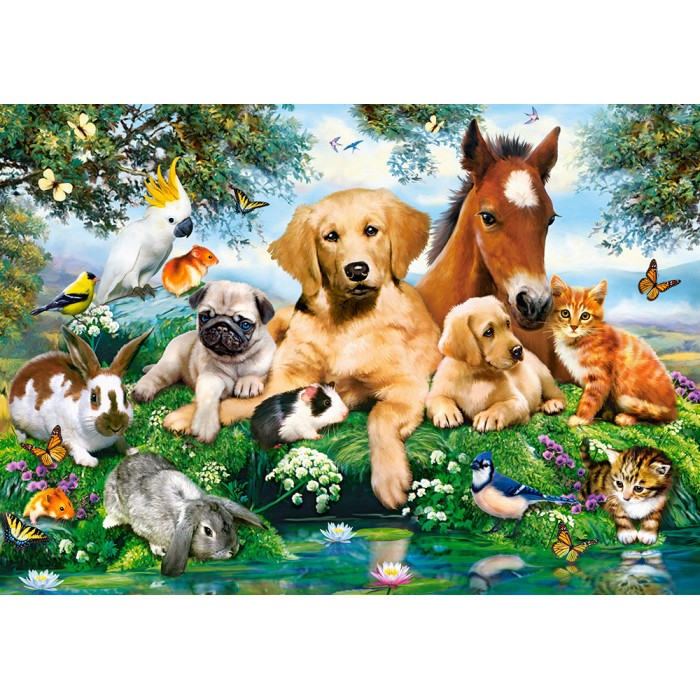 Puzzle Castorland-53230 Les Amis de l'Été