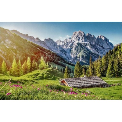 Puzzle  Castorland-53360 Summer in the Alps