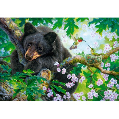 Puzzle  Castorland-53629 The Bear and the Hummingbirds