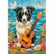 Collie, Guitar and the Sea