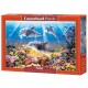 Dolphin World
