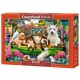 Pets in the Park