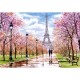 Romantic Walk in Paris