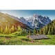 Summer in the Alps