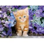 Puzzle  Clementoni-30415 Cat in Flowers