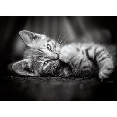 Puzzle  Clementoni-39422 Kitten