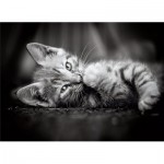 Puzzle  Clementoni-39422 Kitty