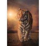 Puzzle  Clementoni-39773 Tiger